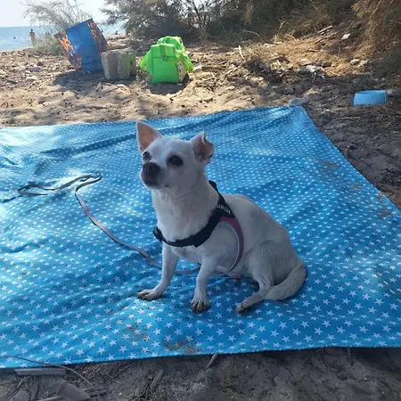 公寓 Studio_suite05 *